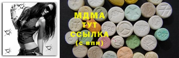 spice Бородино