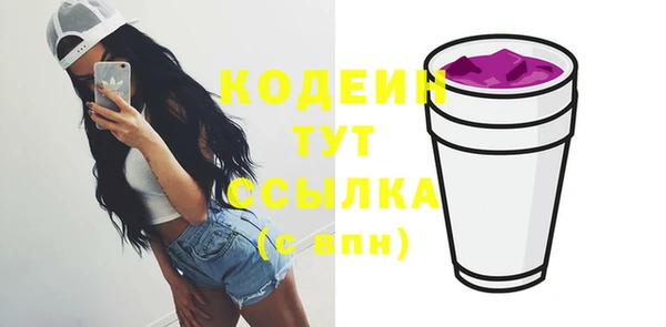 spice Бородино