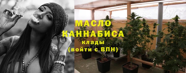 spice Бородино