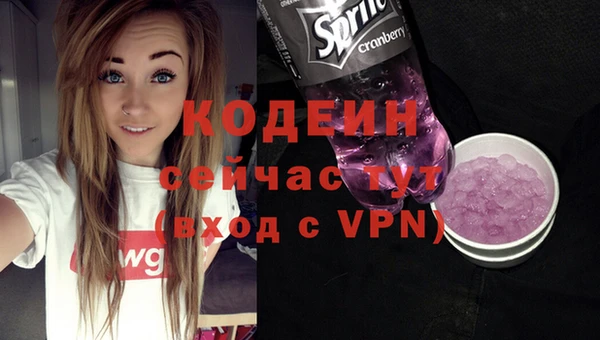 spice Бородино
