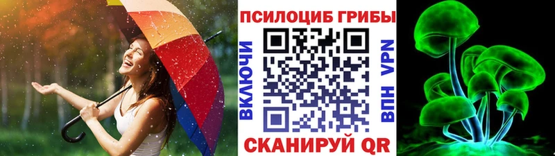 Псилоцибиновые грибы Psilocybine cubensis Новохопёрск